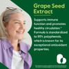 BESTVITE Grape Seed Extract 500mg (120 Vegetarian Capsules)