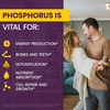 WellnessOne Ionic Phosphorus Supplements