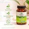 ORGANIC INDIA Moringa Herbal Supplement