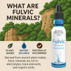 Buried Treasure Fulvic Mineral Drops