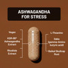 NatureWise Ashwagandha for Stress