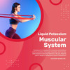ALKAZONE Liquid Potassium+ - Liquid Supplements Have Faster Absorption Rate