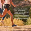Trace Minerals Endure - Mineral Absorption Supplement