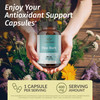 HERBAMAMA Pine Bark Extract Capsules