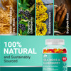 BIO VITALICA Sea Moss Gummies Elderberry BioVitalica