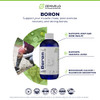 Liquid Boron - 3 Month Supply - Support Graceful Aging
