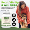 Lignans For Life HMR Lignans for Dogs I Vitamin for Healthy Pet