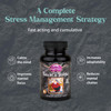 Dragon Herbs - Tao in a Bottle Capsules