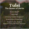 ORGANIC INDIA Tulsi Sleep Herbal Tea