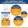 Passion 4 Life Mega Liquid Multivitamins, Trace Minerals, Amino Acids, Turmeric