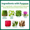 MacroLife Macro Greens Powder 38 Superfood Probiotics Antioxidants Digestive