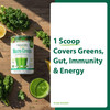 MacroLife Macro Greens Powder 38 Superfood Probiotics Antioxidants Digestive