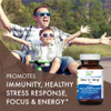 PURE ESSENCE LABS One N Only Multivitamin for Men, Natural One a Day Herbal