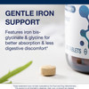 Metagenics Hemagenics Iron Supplement with B12, B6 & Folate Supports Red Blood