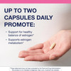 Metagenics Meta Indole-3-Carbinol Supplement