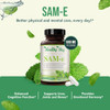 Healthy Way 500mg SAM-e Supplement