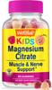 WellYeah Magnesium Citrate Gummies 250mg
