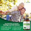 Zazzee USDA Organic Moringa Oleifera Leaf Extract 20:1, 20,000 mg Equivalent