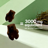 Vitamatic 2 Pack Irish Sea Moss Gummies - 3000 mg Equivalent Per Serving