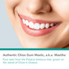 Allergy Research Group NutriCology Mastic Gum
