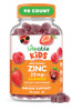 Lifeable Zinc for Kids - 25mg - Great Tasting Natural Flavored Zinc Gummies
