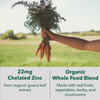 PlantFusion Vegan Zinc Supplements 22 mg