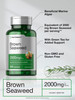 Horbäach Brown Seaweed Extract Capsules - 200 Pills