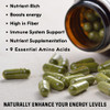 Hebhac Herbs Organic Moringa Capsules 120 Capsules 1000mg