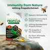 LABO Nutrition Brazilian Green Propolis Ultimate