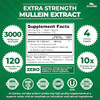 Zazzee Extra Strength Mullein 10:1 Extract, 3000 mg Strength, 120 Vegan