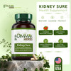 Dimmak Herbs Kidney Sure- Kidney Cleanse & Revitilization Tonic- Organic Herbal