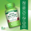 Nature's Truth Irish Sea Moss Capsules - 90 Count