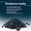 minature Jamun Seed Tablets| 90 Tablets |Natural Daily Use Formula| Vegan