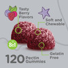 Viteey Kids Multivitamin Gummies with Probiotics
