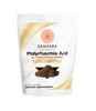 Samsara Herbs Polyrhachis Black Ant Extract Powder