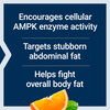 Life Extension AMPK Metabolic Activator*, Hesperidin, G. pentaphyllum, Fight
