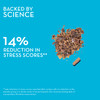 HUM Big Chill Rhodiola Rosea Supplement, Adaptogenic Herbal Calm Supplement