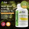 Jiva Botanicals Holy Basil Capsules