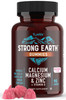 YUM-V'S Calcium, Magnesium, Zinc & Vitamin D Gummies, Cal Mag Chewable