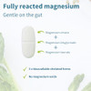 Igennus Superior Triple Magnesium Complex, Fully Reacted & Chelated Glycinate