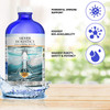 Colloidal Silver Liquid | 8 oz Glass Bottle by Silver Holistics