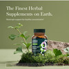 Gaia Herbs Nootropic Focus