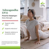 Terry Naturally Ashwagandha EP35 Extra Strength