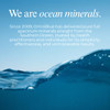 OmniBlue Magnesium & Ocean Mineral Spray- Topical, Ionic & Bioavailable Trace