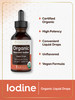 Carlyle Organic Nascent Iodine Liquid Drops - 2 fl oz