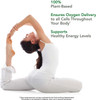 PlantFusion Vegan Iron Supplements from, Premium Plant Based Iron Supplements