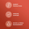 Dr. Mercola Organic Ashwagandha - Supports Energy Production & Adrenal Health