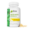 Jiva Botanicals Artemisia Annua Sweet Wormwood Capsules