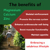Putaojun | High Absorption Calcium Magnesium Zinc Gummies,