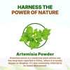 Go Nutra Sweet Wormwood (Artemisia Annua) Powder